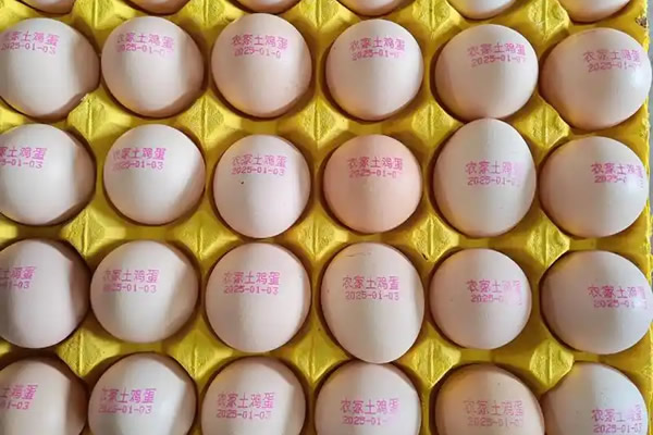 蛋类
